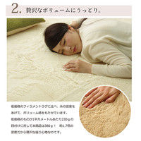 イケヒコ ラグ 2畳タイプ 『フィリップ』 ブラウン 約185×185cm ホットカーペット対応 1280100061203 1枚（直送品）