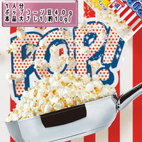 業務用 ポップコーンシーズニング 塩キャラメル150g 1セット（2個入） マコーミック ユウキ食品