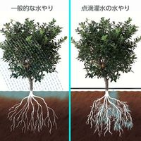 タカギ 点滴チューブスリム 5m GKS105（直送品）