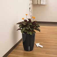 タカショー Qsuiうるる ブラック 24 PPQ-01/6S 1セット（6個入）（直送品）