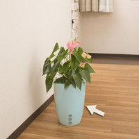 タカショー Qsuiうるる パステルG 24 PPQ-04/6S 1セット（6個入）（直送品）