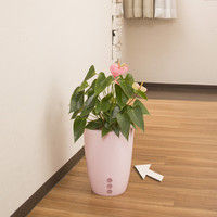 タカショー Qsuiうるる パステルピンク 24 PPQ-05/6S 1セット（6個入）（直送品）