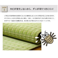 イケヒコ・コーポレーション バルカン PP 本間GN約本間3畳 1090030000000 1枚