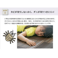 イケヒコ 洗える PPカーペット 『ウィード』 ブラウン 江戸間6畳（約2610×3520mm） 1枚　水洗いラグ カーペット