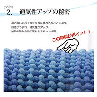 イケヒコ バスマット 洗える吸水 マイクロファイバー『さらり美人2』 ブラウン 2枚セット 約35×50cm（直送品）