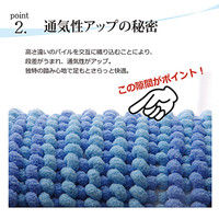 イケヒコ バスマット 洗える吸水 マイクロファイバー『さらり美人2』 ブラウン 2枚セット 約45×60cm（直送品）