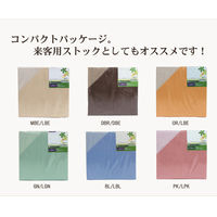 イケヒコ・コーポレーション リバS敷カバーBL/LBL約105×215 1380000000000 1個