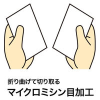 サンワサプライ マルチタイプ名刺カード・厚手 JP-MCM07N 1冊（直送品）