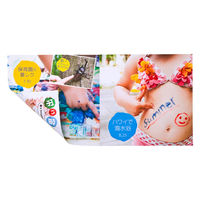 サンワサプライ フォト光沢CD・DVDケースカード(見開き) JP-INDGK2N 1冊