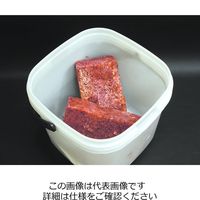 エスコ 5.0L 角バケツ(ふた付) EA991PG-5 1セット(4個)（直送品）