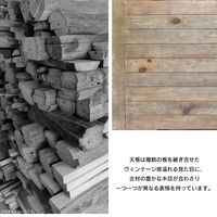 B.Bファニシング LAGOL ダイニングテーブル 幅750×奥行747×高さ730mm LADT-75 1台（直送品）