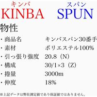 アズマ 工業用ミシン糸　キンバスパン#30/3000m　193番色 ksp30/3000-193 1本(3000m巻)（直送品）