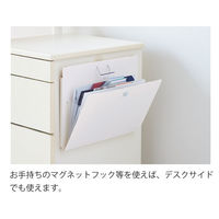 リヒトラブ ウォールドキュメントファイルA4 ホワイト A7675-0 1冊
