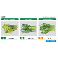 ホリックス　ベジフレッシュ　チャック付　野菜専用　鮮度保持袋　Mサイズ　141651　1000枚（5枚入x200袋）（直送品）
