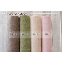 スミノエ オーダーカーペット オーダーラグ サウンドヘイズ 1200×700mm ベージュ AS-HM-BE12070 1枚（直送品）