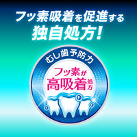 歯磨き粉 フッ素 クリアクリーンNEXDENT（ネクスデント） マイルドシトラス 120g 花王 虫歯・口臭・歯肉炎