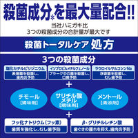 殺菌トータルケア ゼローラ ミント 90g 小林製薬 歯磨き粉 虫歯・口臭・歯肉炎予防