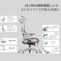 【軒先渡し】HINOMI デスクチェア ブラック H1 PRO V2-L BK 1脚（直送品）