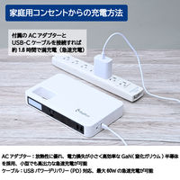 BigBlue フラットパワーステーションシステム ポータブル電源+34W ソーラーパネルセット CP110(PW) 1台