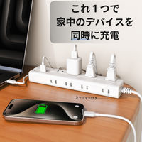 トップランド 延長コード 電源タップ 2m 8個口 USBーA充電ポート(2個口)付 抗菌加工 STPA820-WT 1個