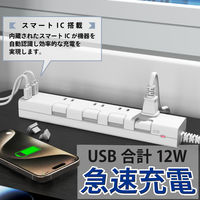 トップランド 延長コード 電源タップ 1m 4個口 個別スイッチ USB付 雷ガード 抗菌 STPC100-WT 1個