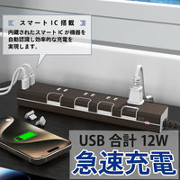 トップランド 延長コード 電源タップ 2m 4個口 個別スイッチ USB付 雷ガード 抗菌 STPC200-BR 1個