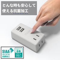 トップランド 電源タップ 2個口 USBーA充電ポート(2個口)付 2.4A 雷ガード 抗菌 STPP300-GR 1個