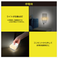 トップランド 充電式LEDライト付き USBアダプタ 2個口 3段階調光 停電時自動点灯 CHAC24L-WT 1個
