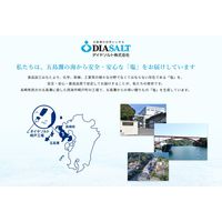 五島灘の塩 1kg 1個 長崎県 菱塩 ダイヤソルト