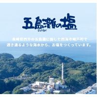 長崎海塩  海の極み 700g 3個 長崎県 あらじお　あら塩　粗塩　菱塩 ダイヤソルト