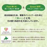 Feel&Green やさしい 玄米フレーク ほんのりりんご 120g 1袋 日本食品製造