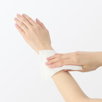 無印良品 クールボディシート １２枚 約２５０×２００ｍｍ 1セット（1個×2） 良品計画