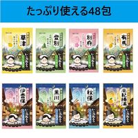 【大容量アソート】いい湯旅立ち 納涼温浴厳選パック 1セット（1パック（48包入）×3） 医薬部外品 白元アース