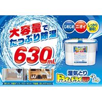 ドライ＆ドライUP コンパクト 除湿剤 大容量 630mL 1パック（3個入） 白元アース
