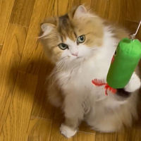 猫じゃらし プリングルズ 緑 1本 ワイワオ 猫用 おもちゃ