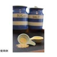 ウェルリッチ 常滑焼スプーン とこさじ 2個入 TS-4037BY 1セット(2個) 67-8022-41（直送品）