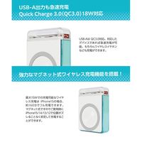 re:colors 3way Power Bank With LED Light ブルーベリー CP-RC3PB1/A 1個（直送品）