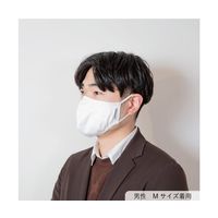 GSIクレオス Livinguard アンチウイルスマスク(ホワイト) 通気口無し L 100枚 GM21-82421N 1箱(100枚)（直送品）