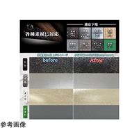 STEP SOLUTION スリップガード クリア色 滑り止めスプレー 300mL 4本 SG300 1本(4本) 65-0551-66（直送品）