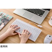 GETT 洗える防水キーボード IP65保護 有線1.8mUSBケーブル 302×151.5×21mm KSI-U10300 1個（直送品）