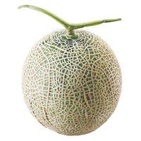 アデリー 【お中元】マスクメロン[1玉] AF-MM1.3-1N 1箱（直送品）