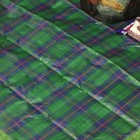 piatto レジャーシート グリーン（90cm×150cm） studio CLIP