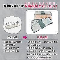 アストロ 炭入着物保管袋 4枚組 171-49 1セット(4枚組×10)（直送品）