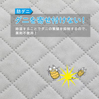 アストロ ドライ&ドライ吸湿防ダニ衣類収納袋 グレー 616-38 1セット(1個×10)（直送品）