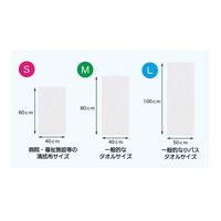 ファーストレイト eドライタオル Mサイズ FRー7011 1袋（10枚入）