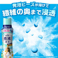 レノア 超消臭 煮沸レベル消臭 抗菌ビーズ 部屋干し 花とおひさまの香り 本体 420mL 1個 抗菌 P＆G【旧品】