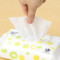 ウェットティッシュ ノンアルコール オリジナルパウチウェットティッシュ ノンアルコール除菌 本体 1セット（100枚入×20）レック オリジナル