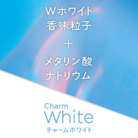 板ガム ガム 個包装 キシリトールガム チャームホワイト グレープフルーツ 9枚入 1セット（1個×20） ロッテ
