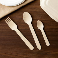 今村紙工 木製デザートスプーン 100mm 1袋（100本入）