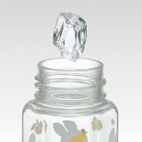 スケーター 六角ブローボトル250ml 水筒 クリア ミッフィー うさぎ 軽量ＰＤＨ3 1個